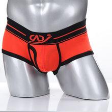 Men Shorts Underwear Boxers Men's Modal Underpants 8 Colors NW