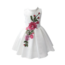 Baby Girl Princess Dress Kids Appliques Formal Floral Ball Gown Dresses Weeding Party NW