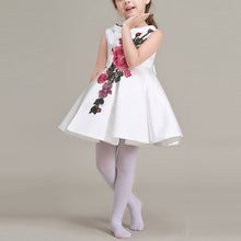 Baby Girl Princess Dress Kids Appliques Formal Floral Ball Gown Dresses Weeding Party NW
