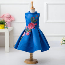 Baby Girl Princess Dress Kids Appliques Formal Floral Ball Gown Dresses Weeding Party NW