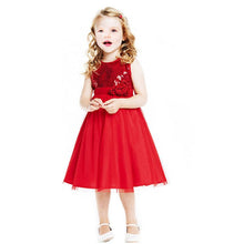 Baby Princess Kids Girls Christmas Fancy Flower Party Gown Formal Dress 2-7Y D33 NW