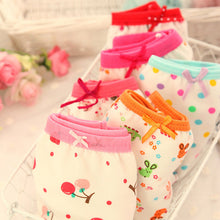 Boy Girls Kids Cotton Cartoon Flower Pajama Underwear Underpant Boxers Short Pants NW