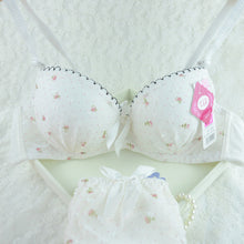 Chic Women Underwire Bra Set Floral Push-up Underwear Brassiere Lingerie 32-36B NW