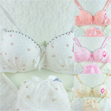 Chic Women Underwire Bra Set Floral Push-up Underwear Brassiere Lingerie 32-36B NW