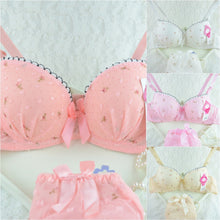 Chic Women Underwire Bra Set Floral Push-up Underwear Brassiere Lingerie 32-36B NW