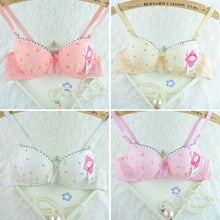 Chic Women Underwire Bra Set Floral Push-up Underwear Brassiere Lingerie 32-36B NW