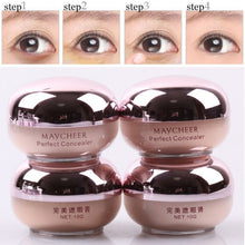 China Professional Salon Party Contour Cream Makeup Concealer Cover Eye Dark Scars NW