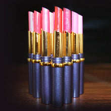 Hot Chic 12 Nude Colors Choices Cosmetic Brand Makeup Lasting Bright Lipstick Lip Gloss Lip Rouge NW