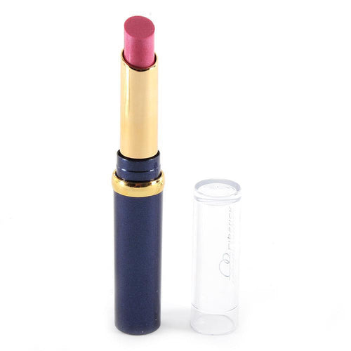 Hot Chic 12 Nude Colors Choices Cosmetic Brand Makeup Lasting Bright Lipstick Lip Gloss Lip Rouge NW