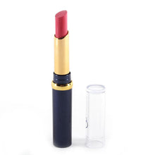 Hot Chic 12 Nude Colors Choices Cosmetic Brand Makeup Lasting Bright Lipstick Lip Gloss Lip Rouge NW