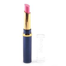 Hot Chic 12 Nude Colors Choices Cosmetic Brand Makeup Lasting Bright Lipstick Lip Gloss Lip Rouge NW