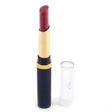 Hot Chic 12 Nude Colors Choices Cosmetic Brand Makeup Lasting Bright Lipstick Lip Gloss Lip Rouge NW