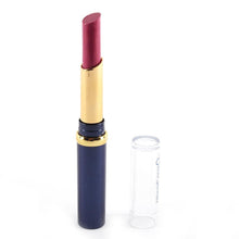 Hot Chic 12 Nude Colors Choices Cosmetic Brand Makeup Lasting Bright Lipstick Lip Gloss Lip Rouge NW