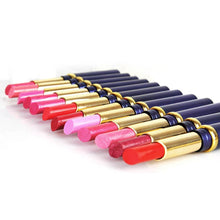 Hot Chic 12 Nude Colors Choices Cosmetic Brand Makeup Lasting Bright Lipstick Lip Gloss Lip Rouge NW