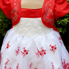 Kids Girls Dresses Floral Chiffon Dress Costume Princess Party Dresses Size 1-4Y NW