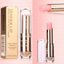 Lip Pencil Matte Lipstick Lip Gloss Super Long Lasting Waterproof Liquid T91 NW