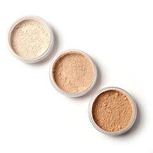 New Brand Makeup Powder 3 Colors Loose Powder Face Makeup Waterproof Loose Powder Skin Finish Powder NW