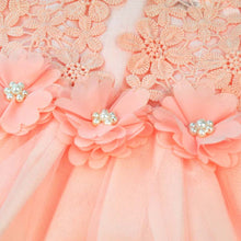 Baby Girl Dress Lace Flower Baby Girl Clothes Princess Tutu Children Dresses vestidos infantis girls tutu dress LZH7 NW
