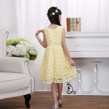 Lovely Kids Baby Girls Sleeveless Lace Floral Dacing Party Wedding Tutu Dress NW