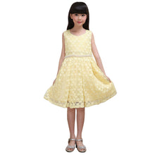 Lovely Kids Baby Girls Sleeveless Lace Floral Dacing Party Wedding Tutu Dress NW