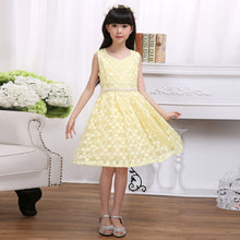 Lovely Kids Baby Girls Sleeveless Lace Floral Dacing Party Wedding Tutu Dress NW