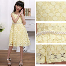 Lovely Kids Baby Girls Sleeveless Lace Floral Dacing Party Wedding Tutu Dress NW