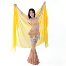 Women Belly Dance Dancing Costume Dress Chiffon Shawl Veil Scarves 250*120CM NW